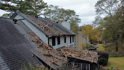 Factors Affecting Tree Service Liability Insurance Costs (Scope of Services, Location, etc.)