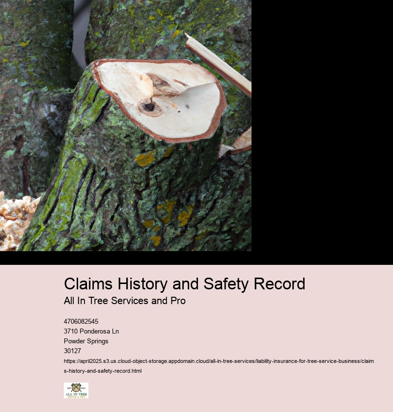Claims History and Safety Record
