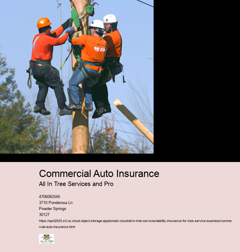 Commercial Auto Insurance