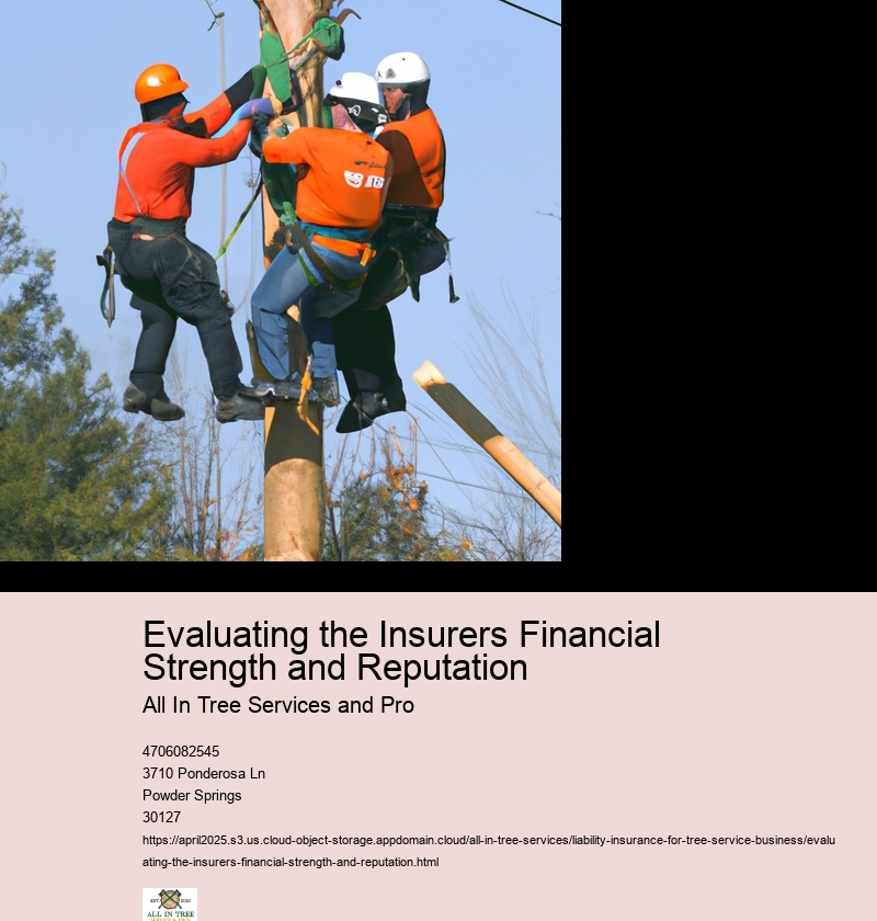 Evaluating the Insurers Financial Strength and Reputation