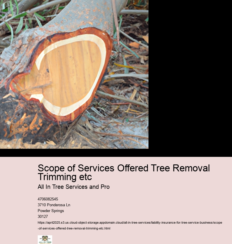 Scope of Services Offered Tree Removal Trimming etc