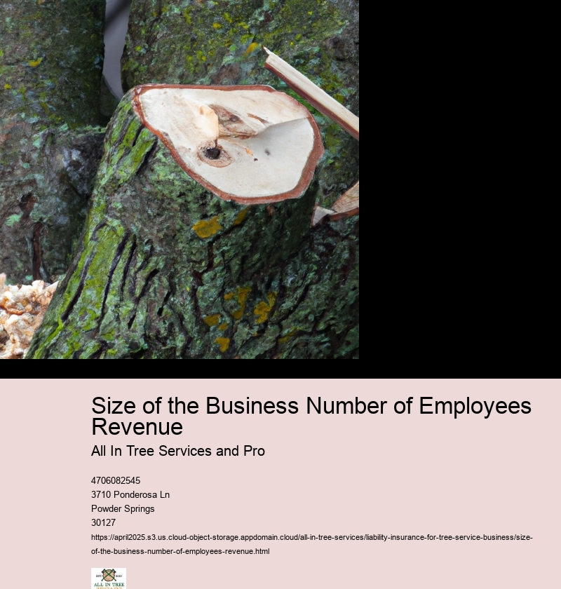 Size of the Business Number of Employees Revenue