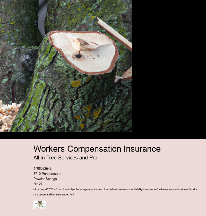 Workers Compensation Insurance