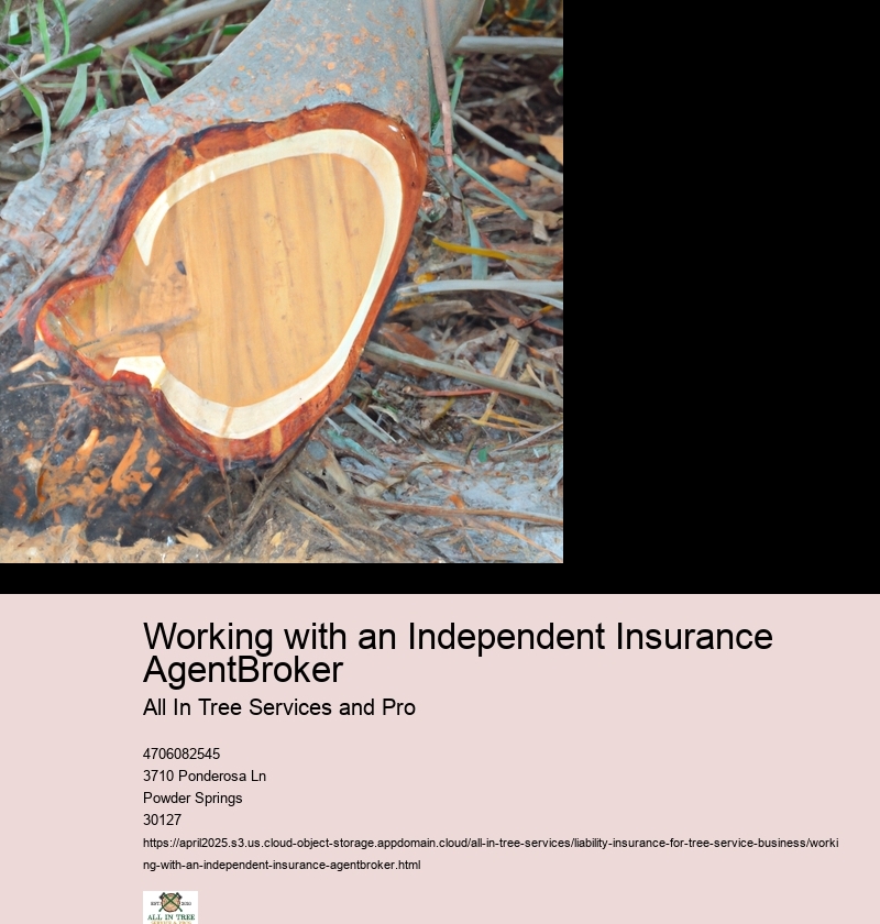 Working with an Independent Insurance AgentBroker