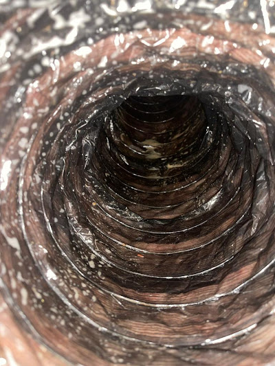 Disposal of Collected Dust and Debris