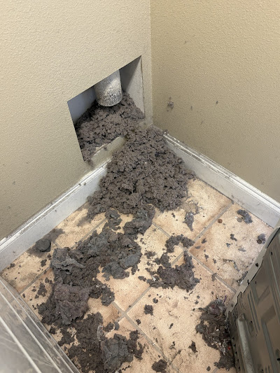 Visual Inspection of Vent Path