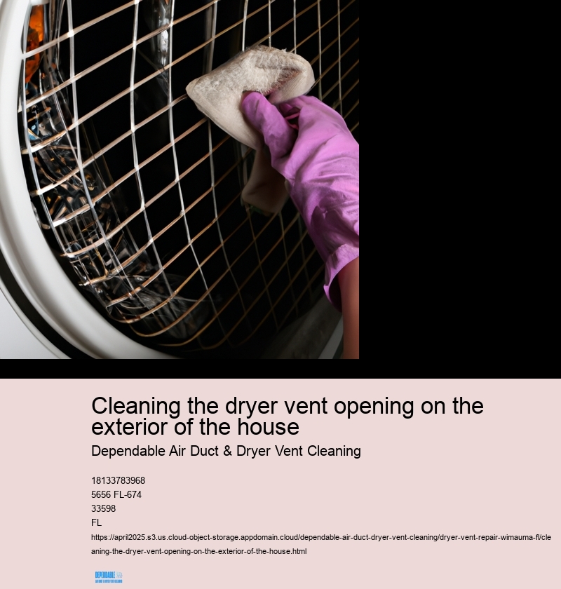 Cleaning the dryer vent opening on the exterior of the house