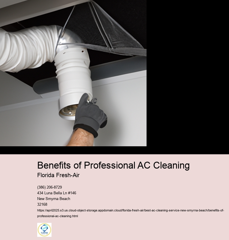 Benefits of Professional AC Cleaning