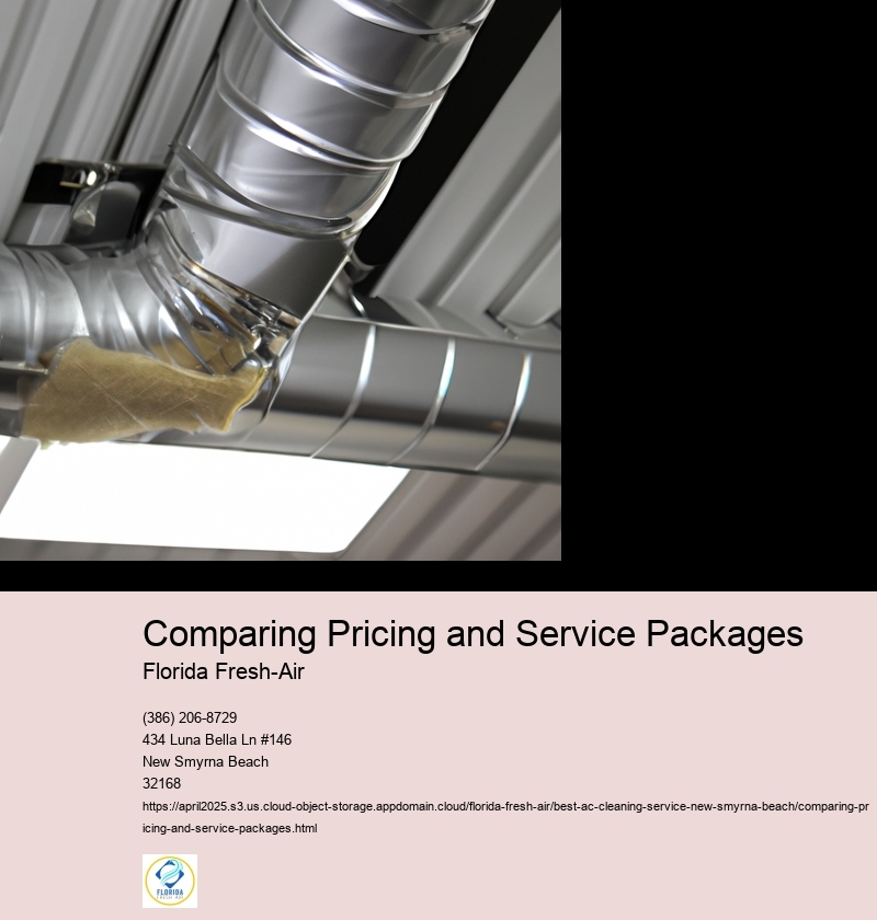 Comparing Pricing and Service Packages